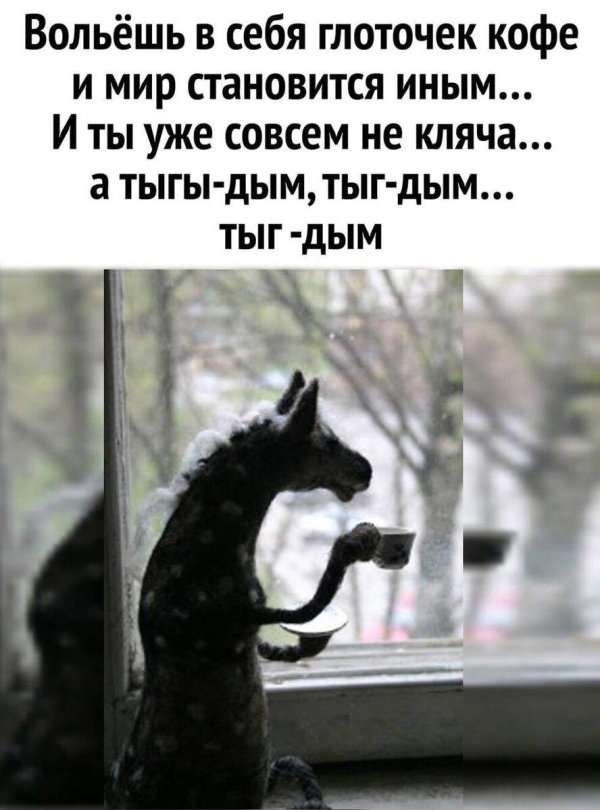 екатерина козуненко игрушки