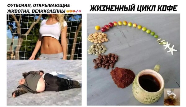 приколы для поднятия настроения