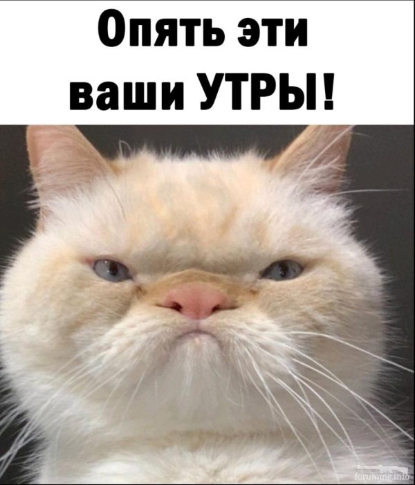 эти ваши утры