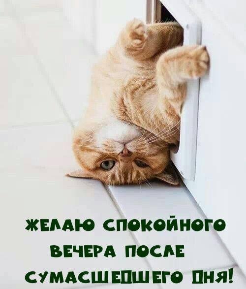 спокойного вечера