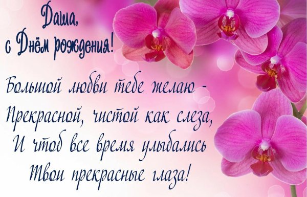 розовая орхидея