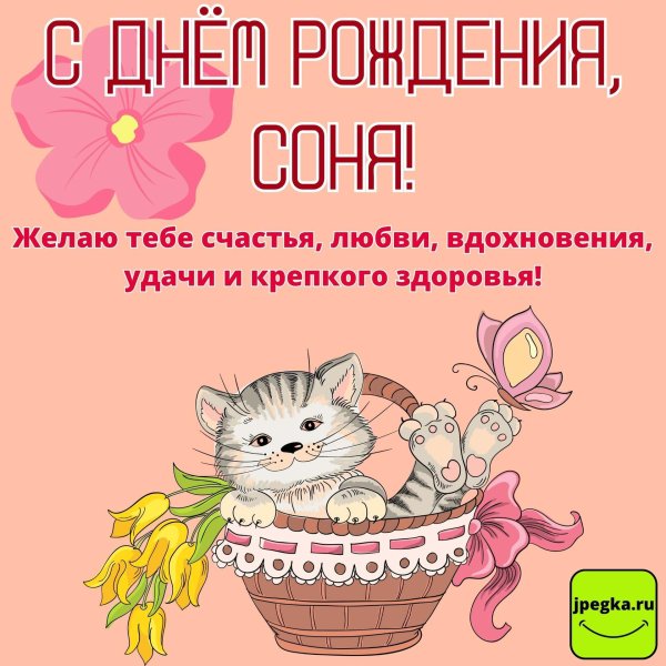 с днем рождения сонечка