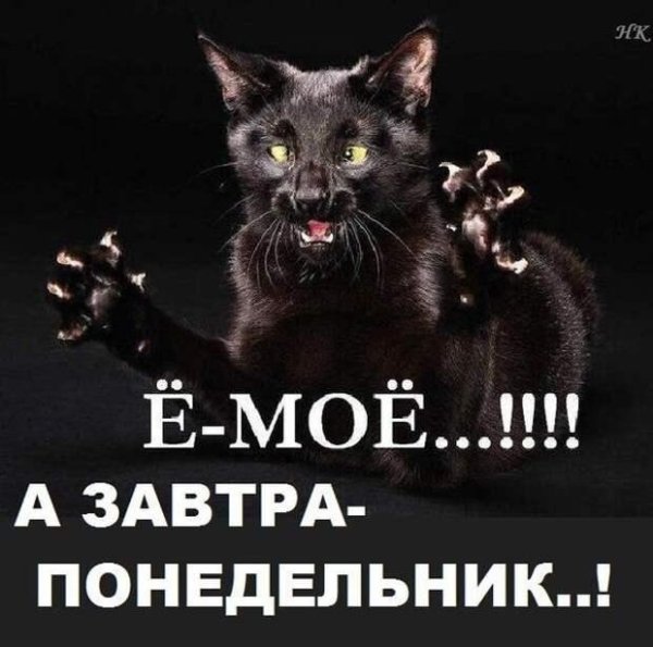 Завтра понедельник