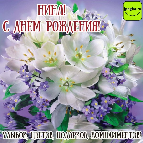 с днем рождения нина