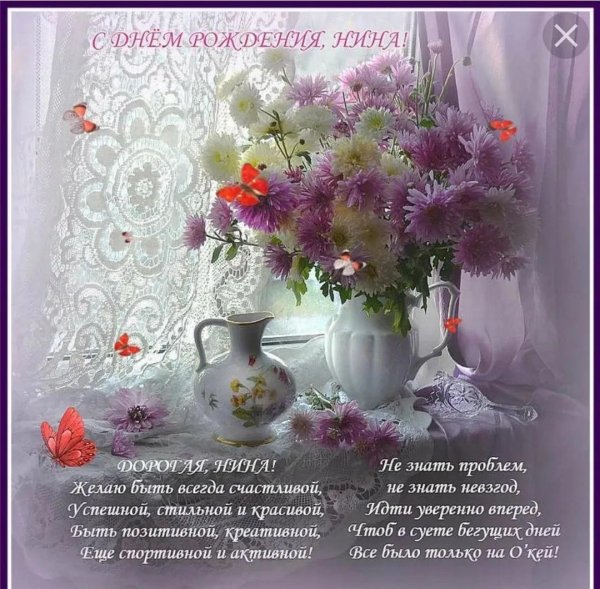 фотонатюрморты валентина колова