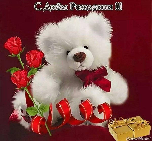 красивые мишки