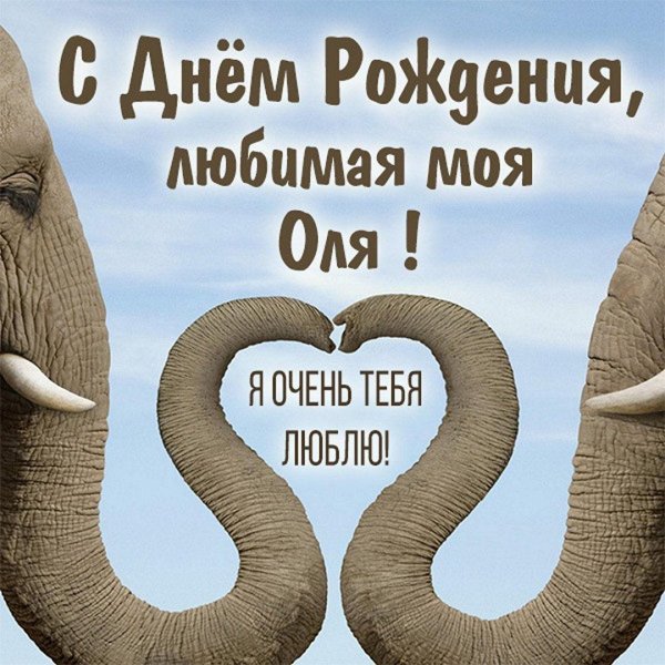 хобот слона