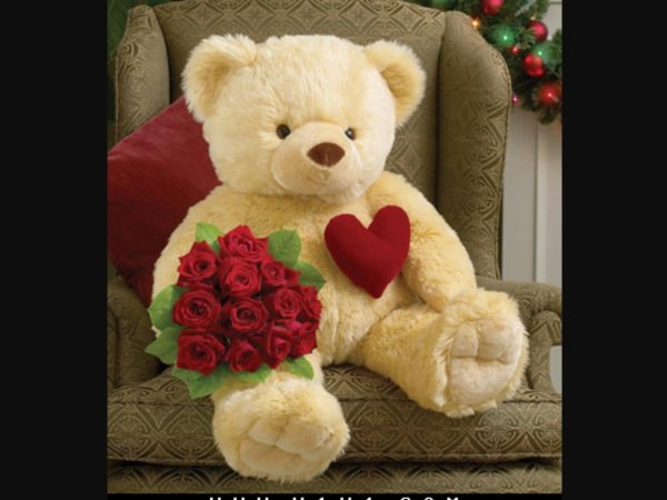 красивые мишки