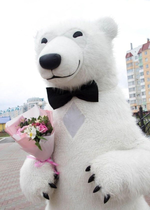 медведь ростовой