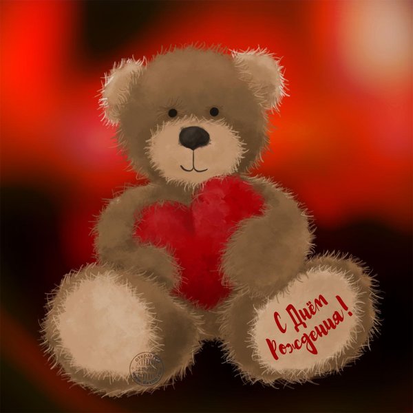 красивые мишки