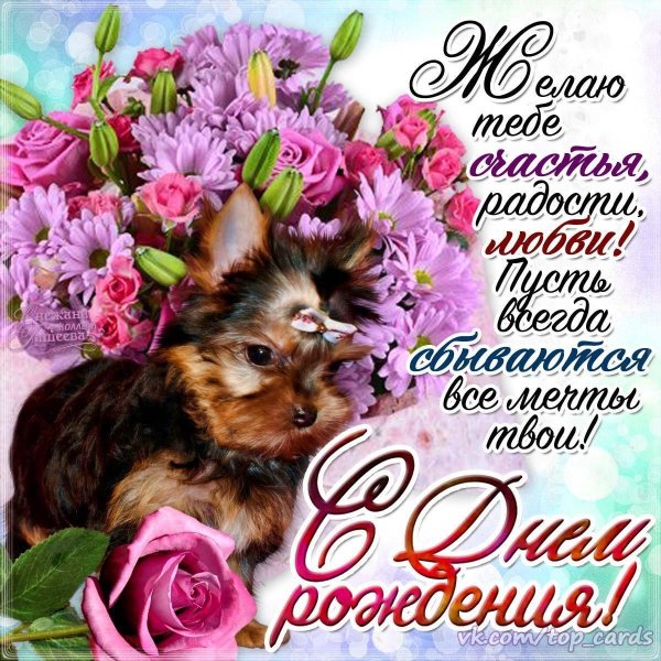 йоркширский терьер