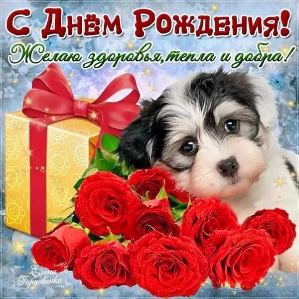 собачка милая