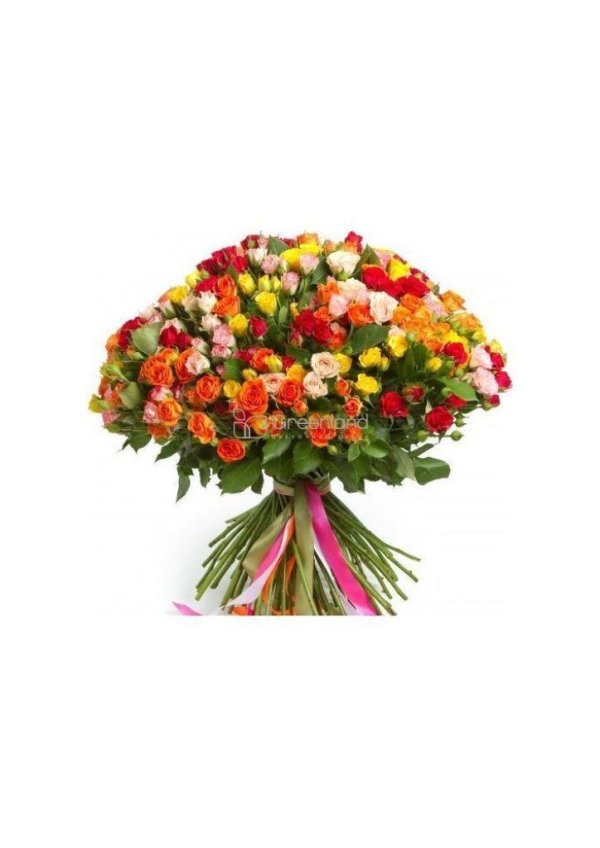 кустовая роза