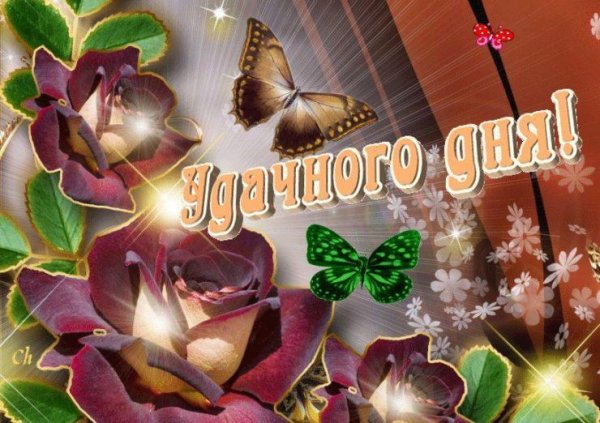 Добрый день красивые мерцающие
