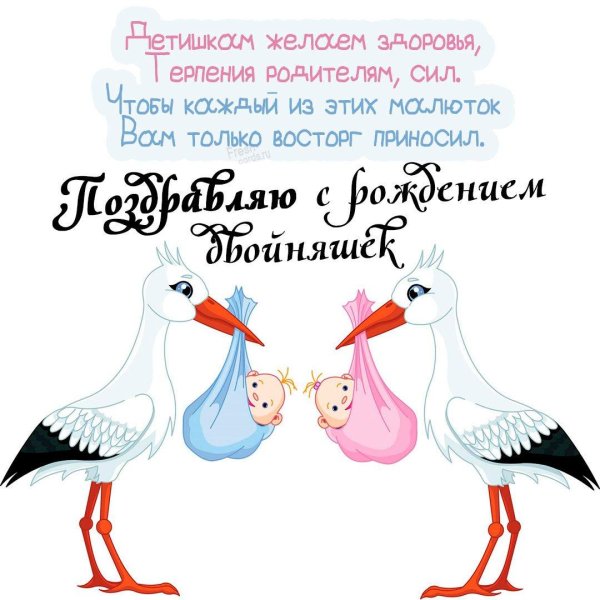 поздравление с рождением двойни
