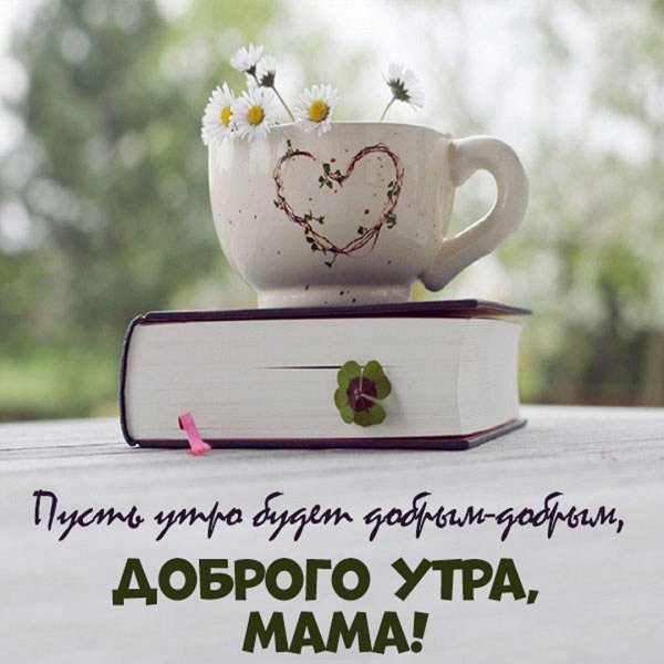доброго утра мама