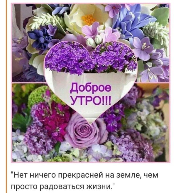 доброе утро красивые цветы