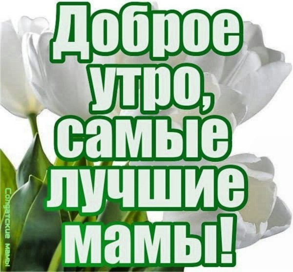 Доброе утро мамуля