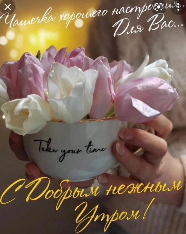 нежного доброго утра
