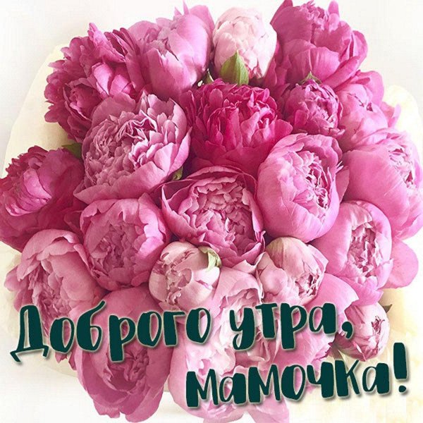 доброго утра мамочка
