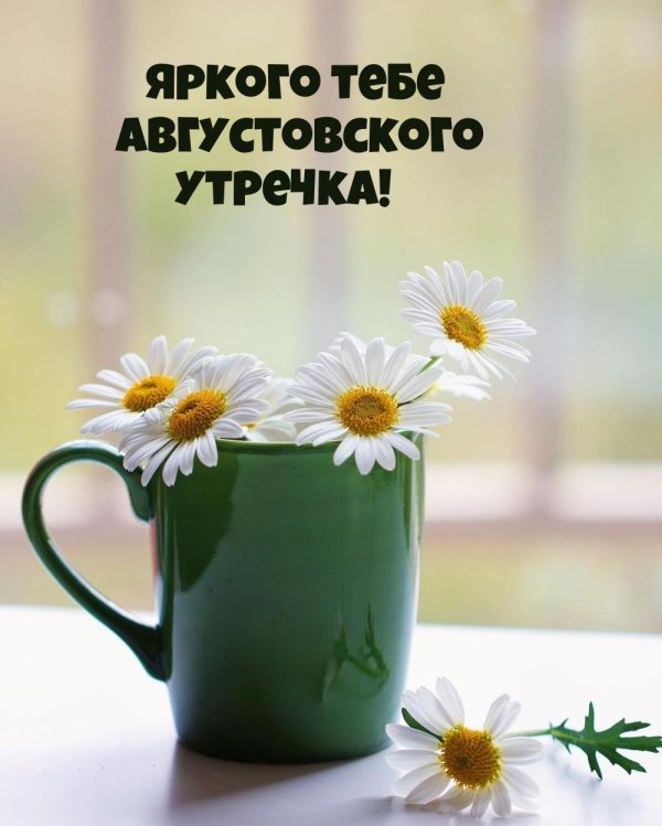 добра утра