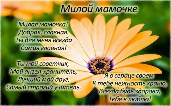 моей мамочке