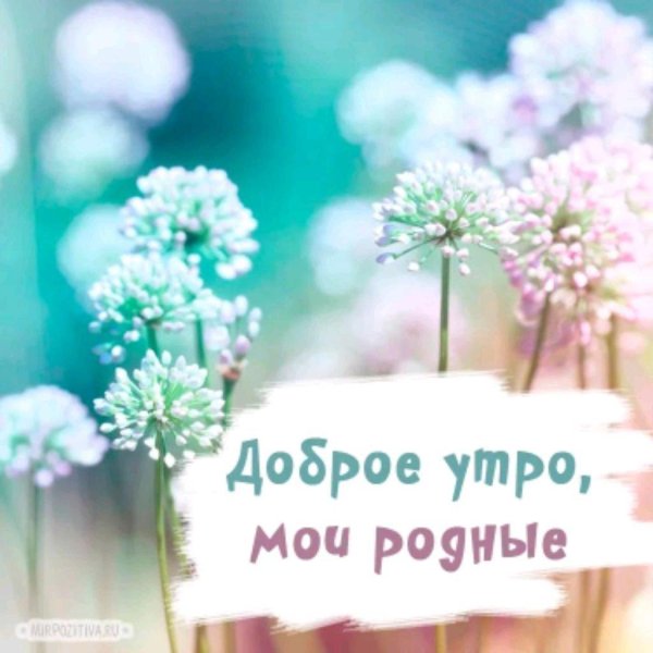 доброго утра родная