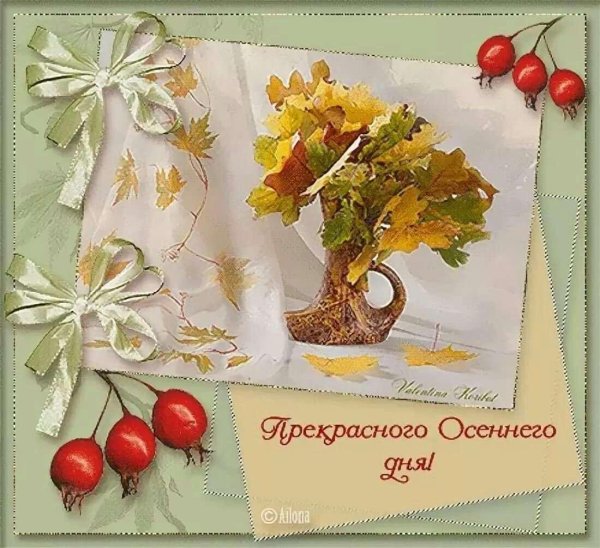 Добрый день красивые осенние