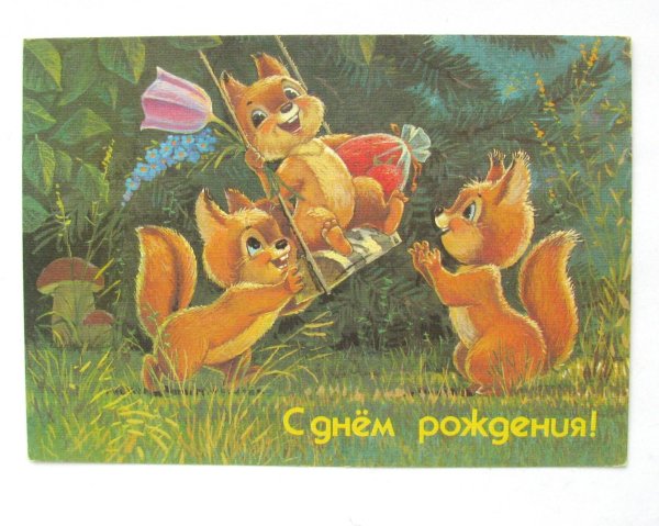 художник зарубин белочки
