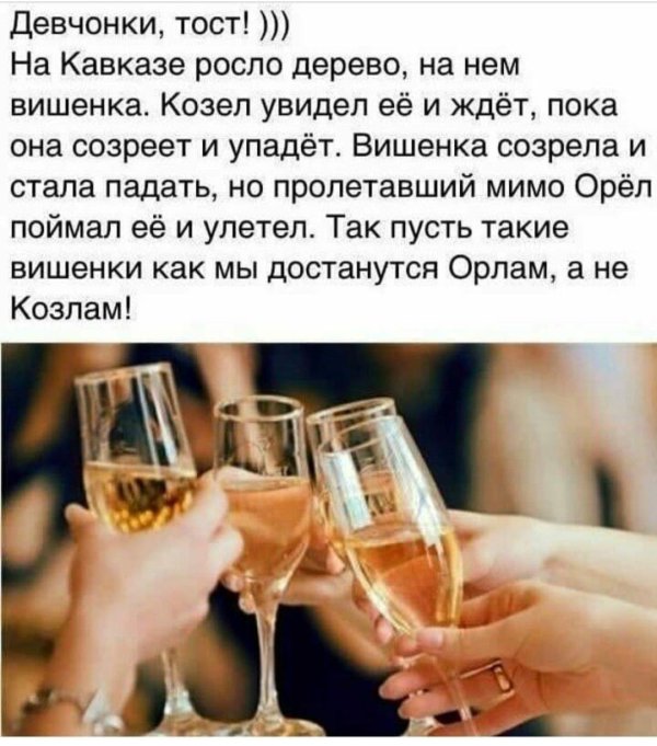 Тосты на день рождения