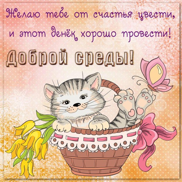 С добрым днем