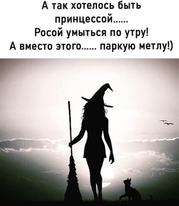 высказывания про ведьм