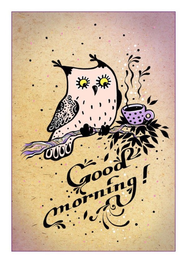 сова рисунки