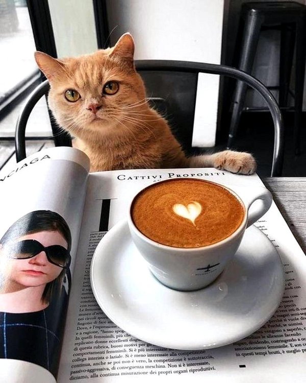 Утро кофе понедельник