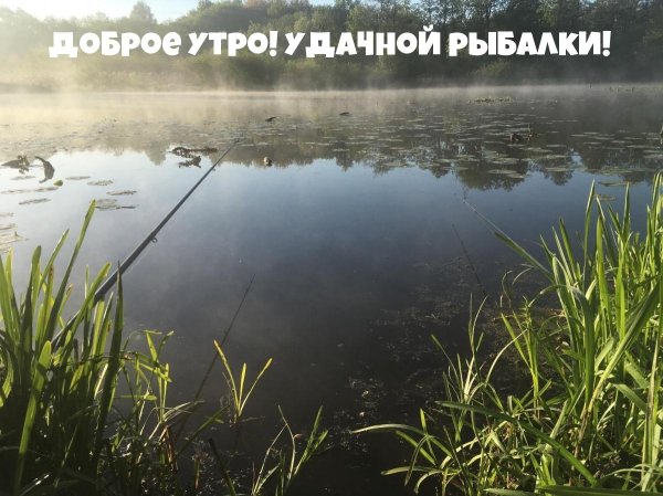 Доброе утро рыбачок