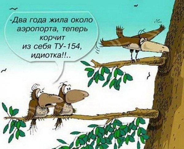 грачи прилетели карикатура