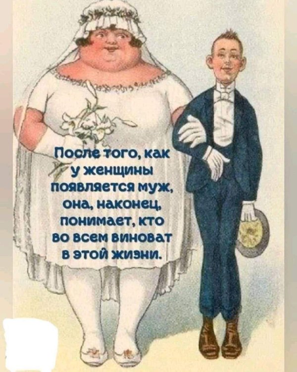 веселые высказывания