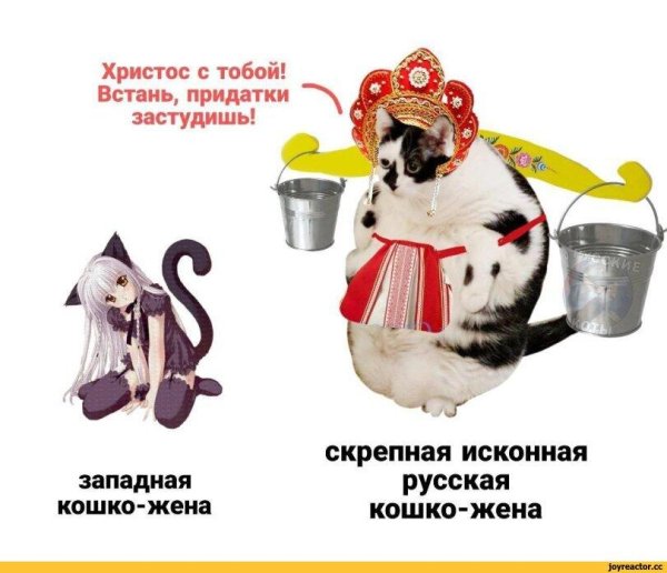 кошка мультяшная