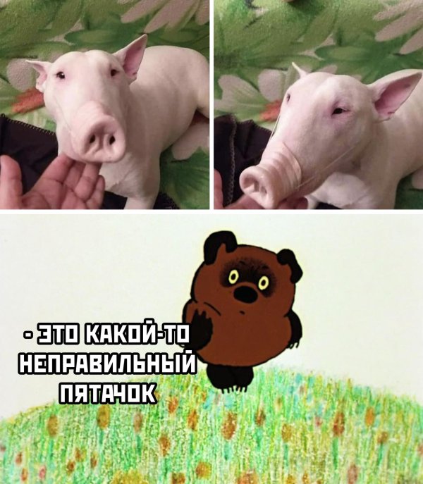 смешной мем 2024