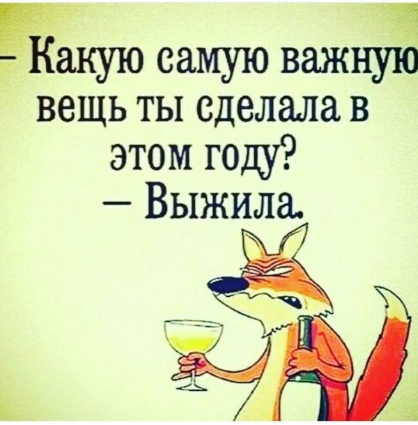 веселые цитаты