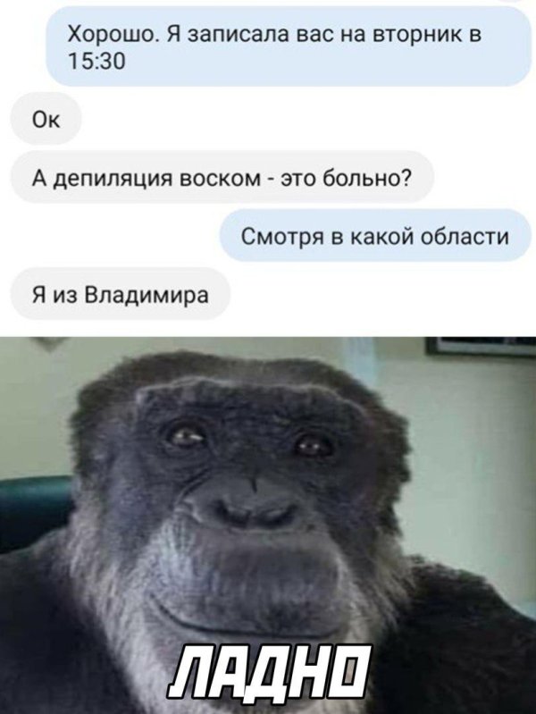 мем горилла