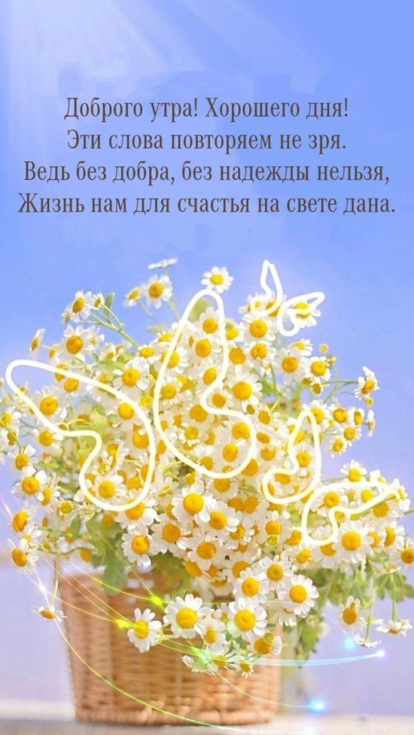 Солнечного настроения на весь день