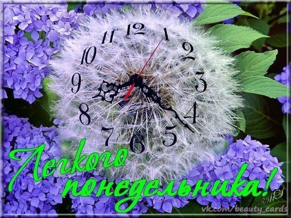 открытка с добрым утром понедельника летняя