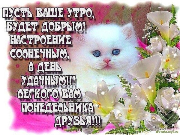 доброе утро понедельника красивые открытки