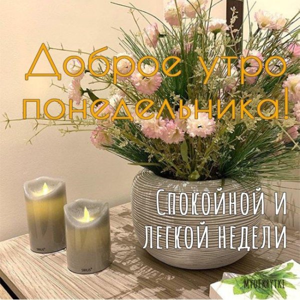 Доброе утро чудесного понедельника