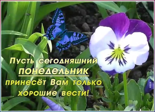 красивые открытки с понедельником