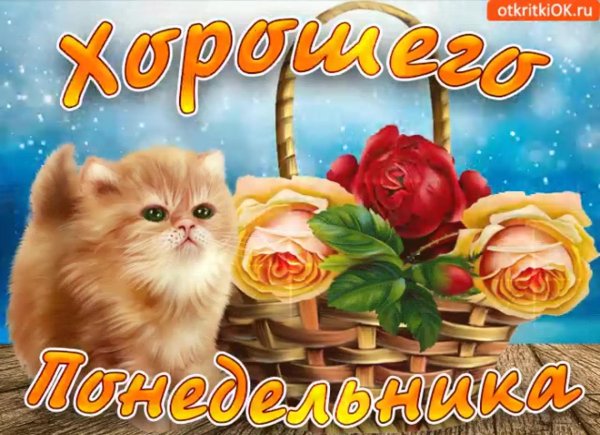 поздравляю с понедельником