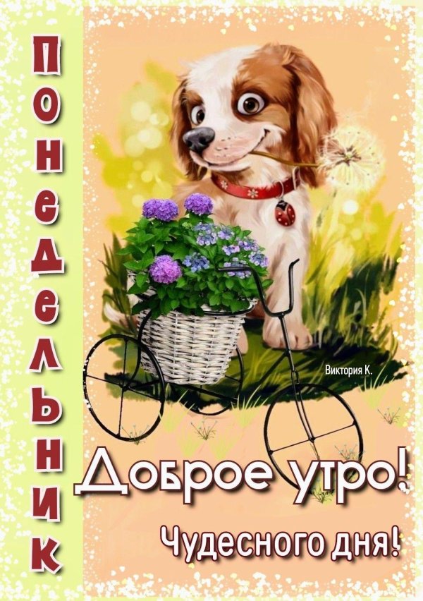доброе утро понедельника хорошего дня и прекрасного настроения
