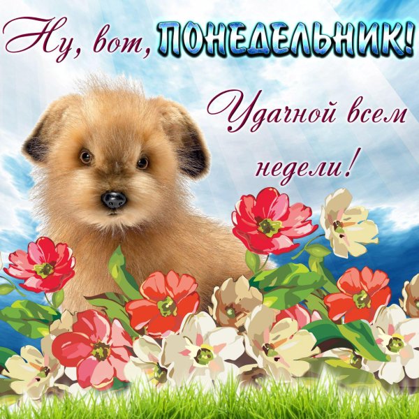 поздравление с понедельником