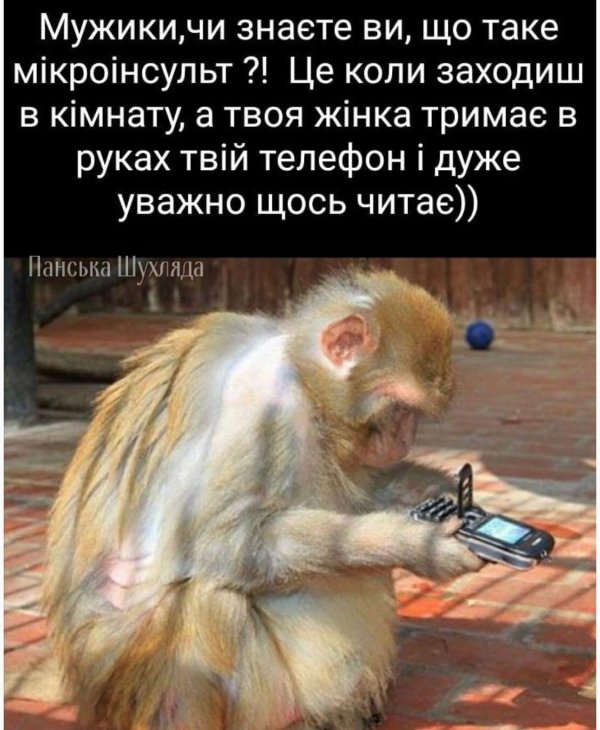 мартышка с телефоном